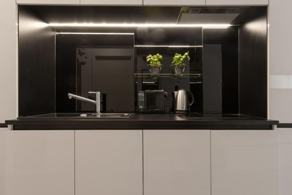 Gorgeous Central Flat With Garage Lublaň Exteriér fotografie