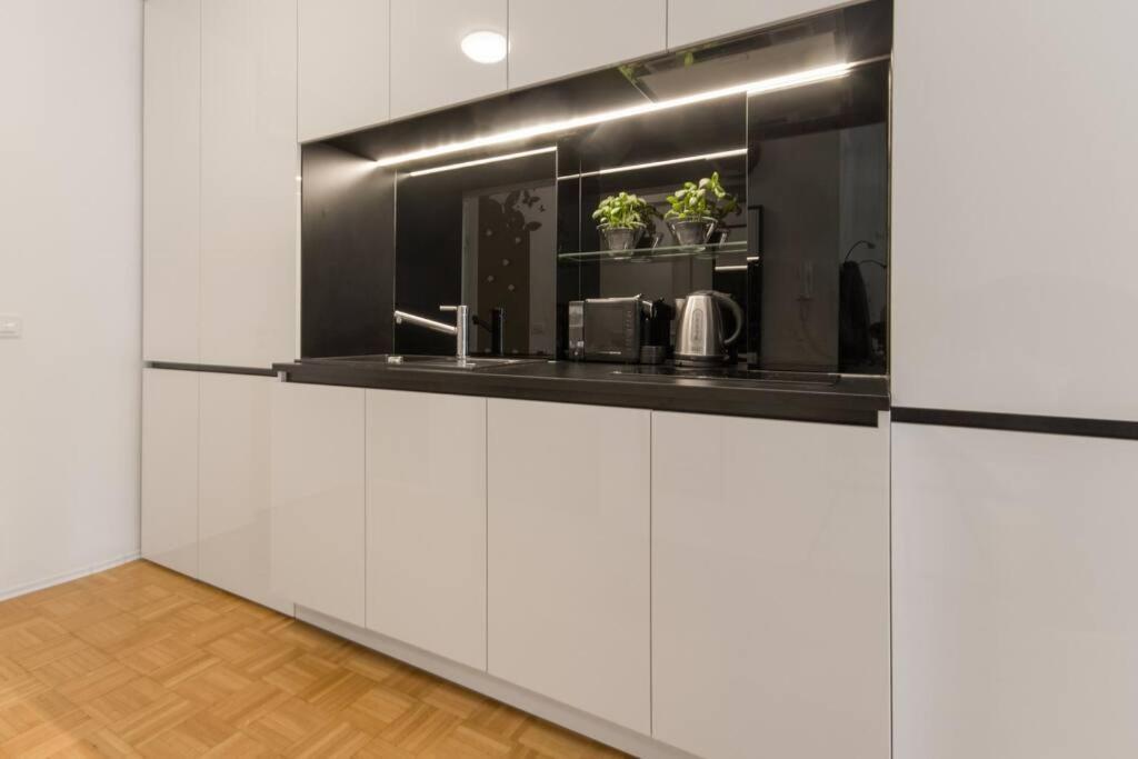 Gorgeous Central Flat With Garage Lublaň Exteriér fotografie